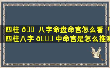 四柱 🐠 八字命盘命宫怎么看「四柱八字 🐞 中命宫是怎么推测的」